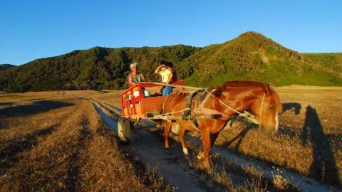 Ingresan decreto para licitar servicio de transporte para Isla Mocha