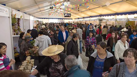 Nueva versión de Expo Mundo Rural contará con más de 180 expositores