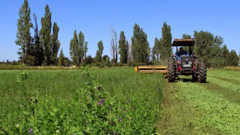 Agricultores de la Provincia de Arauco piden continuidad de Zona de Rezago