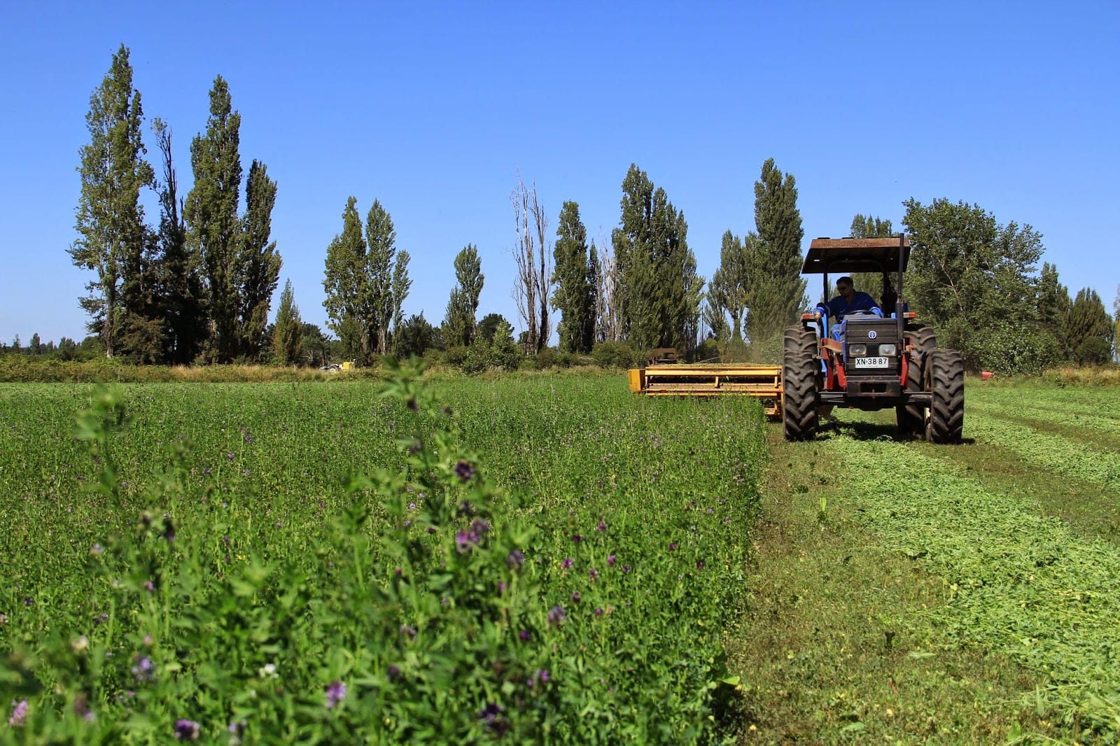 Plan Arauco: La última propuesta del Gobierno para responder a gremios y víctimas de violencia rural