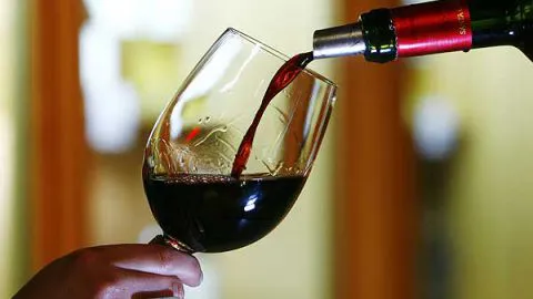 Indap lanzó concurso para modernizar la producción de vinos campesinos