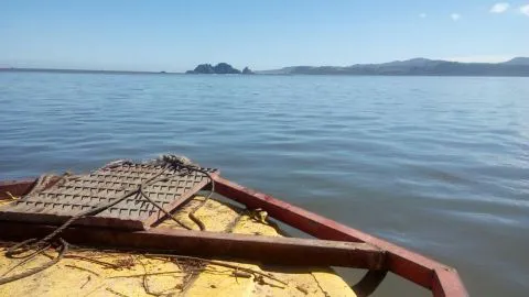 ENCUENTRAN A PESCADOR QUE DESAPARECIÓ EN RÍO BIOBÍO