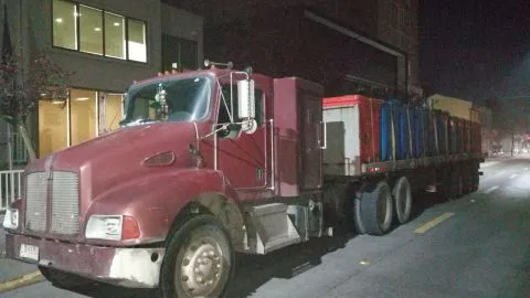 Es detenido un gato mientras robaba en San Pedro de la Paz