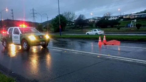 Vehículo se da a la fuga tras atropellar a una persona en Concepción
