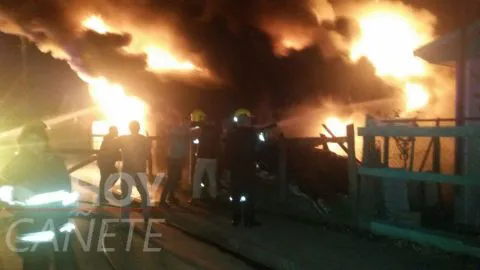 Mortal incendio en Contulmo: Hombre quedó atrapado entre las llamas