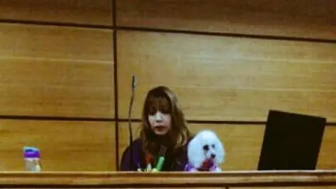 Jueza realizó audiencia en Bulnes con su poodle
