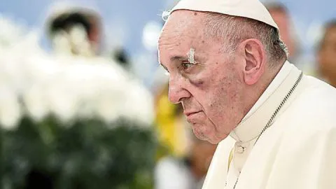 “El hombre es un estúpido”: Papa Francisco critica a quienes niegan el cambio climático