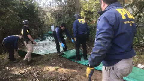 Recuperan 21 carpas robadas desde trenes Fepasa