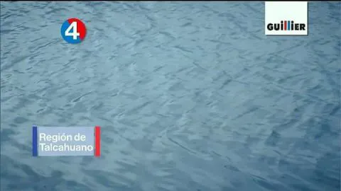 El error en la franja de Guillier que causó molestia en redes sociales