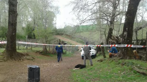 PDI investiga presunto doble homicidio en Yungay: sujetos habrían recibido hachazos