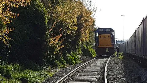 Estudiante colombiano se encuentra grave tras ser atropellado por locomotora en Lirquén