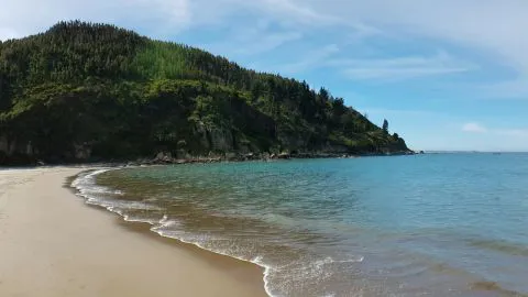 Así es Trana: una de las playas más hermosas de la Región del Biobío
