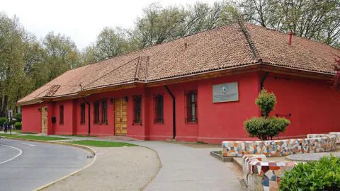 Museos de Medianoche: conoce las actividades del Museo de Historia Natural de Concepción