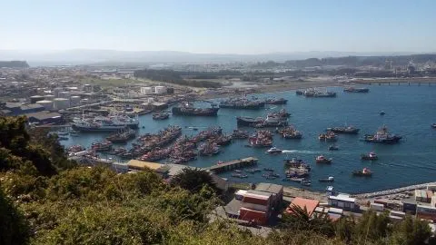 Como nunca la viste: histórico acuerdo reordenará la bahía de San Vicente en Talcahuano