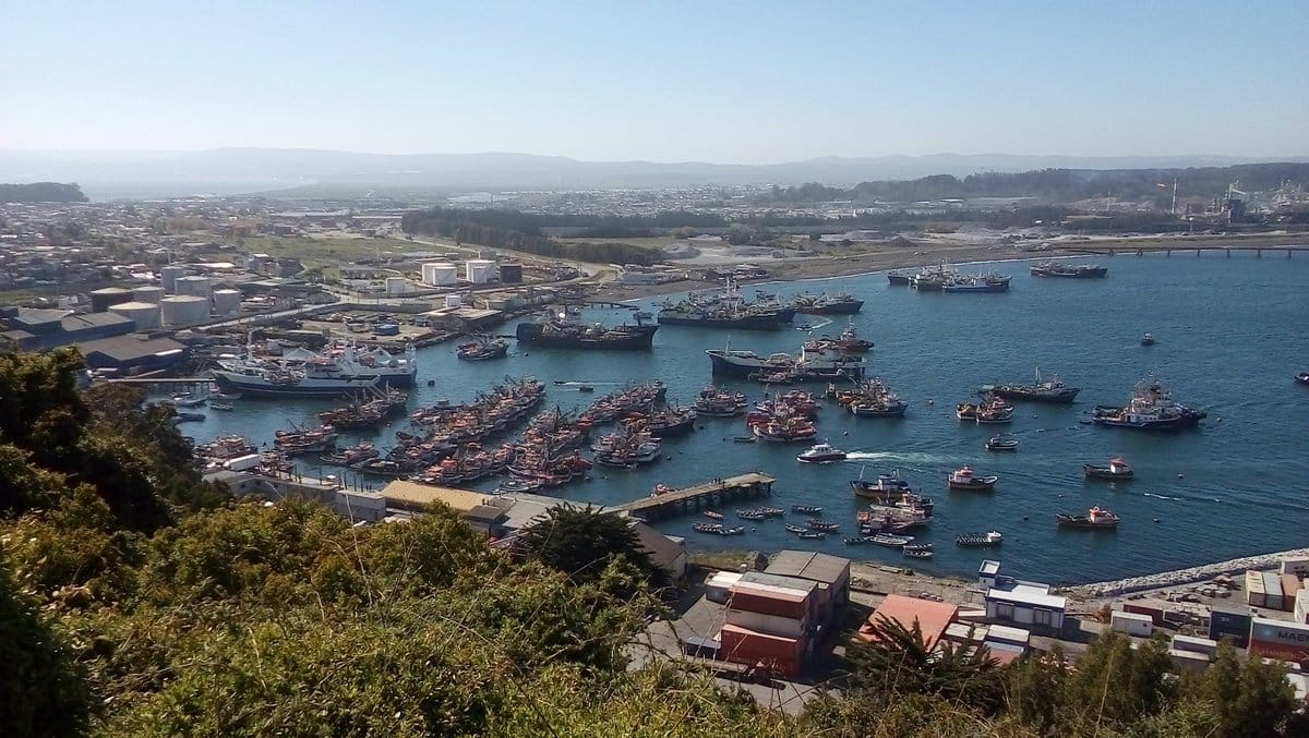 Detectan presencia de coronavirus en barco que arribó a Talcahuano