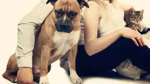 ¿Sabes que edad tiene tu perro o gato?