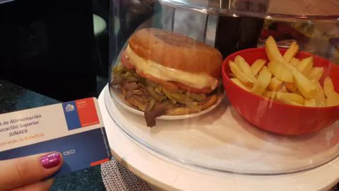 Ya no se podrá comprar bebidas azucaradas y fritura con la beca Junaeb