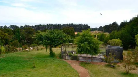 Formalizan a mellizos por seguidilla de asaltos en el Parque Tumbes