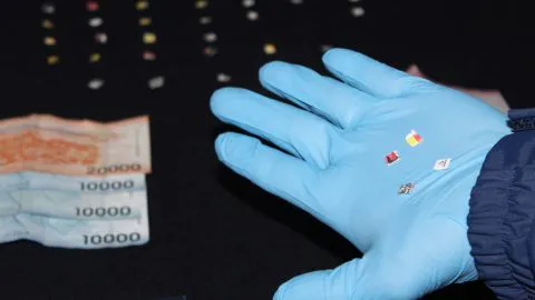 “Nbome”: droga altamente alucinógena que era vendida en las cercanías de la UdeC