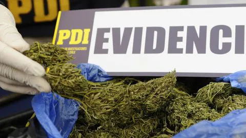 Caen 4 personas por microtráfico de drogas en la comuna de Tomé
