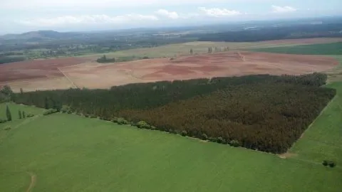 Lo que invirtió Arauco en el plan que pretende evitar que se quemen viviendas en temporada de incendios forestales