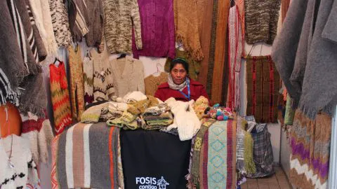 Los mejores expositores de Fosis darán vida a la primera Feria Interregional en Concepción