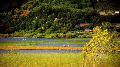 Lago Lanalhue es oficialmente declarado como Zona de Interés Turístico