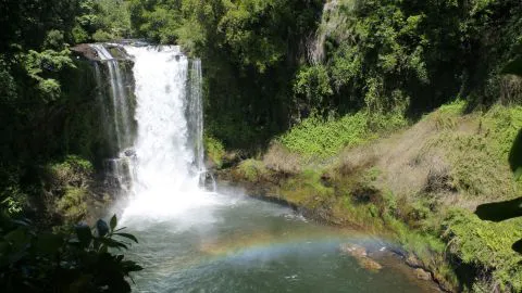 Conoce esta paradisíaca cascada entre bosques ubicada a una hora y media de Concepción