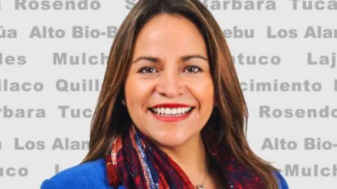 Diputada que perdió por seis votos resultó electa tras reconteo del Servel
