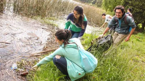 El destacable gesto de los estudiantes de Medicina UdeC en el Parque Laguna Grande