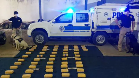 Decomisan más de 700 millones de pesos en droga que venía a Concepción