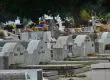 Cementerio General de Concepción espera unas 70 mil visitas