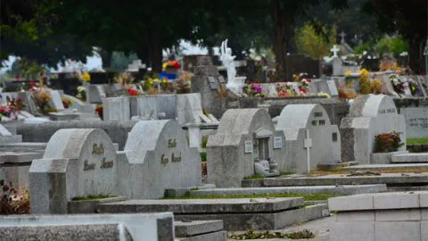 Cementerio General de Concepción espera unas 70 mil visitas
