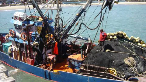 Un tripulante pesquero falleció en alta mar en las cercanías de Isla Mocha