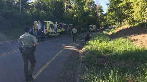 Chofer de bus donde murieron 11 personas fue formalizado en Victoria