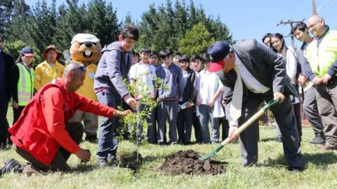 San Pedro de la Paz inició campaña para prevenir incendios forestales