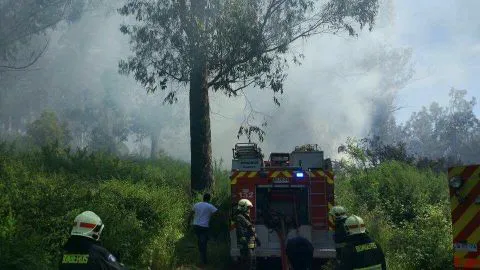 AHORA: Onemi declara Alerta Amarilla por incendio forestal de rápido avance y cercano a viviendas en Mulchén