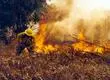 CONAF y Ejército ya se preparan para la temporada de incendios forestales