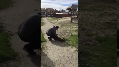 El emocionante reencuentro entre un perrito y su amo después de 3 años
