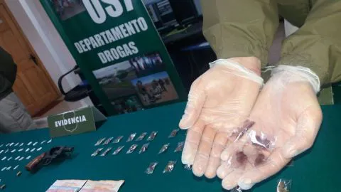 Descubren inédita droga con frutos rojos para el aroma y sabor en Talcahuano
