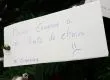 Los insólitos deseos que escriben los estudiantes de la UdeC en su árbol de Navidad