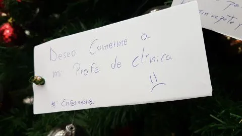 Los insólitos deseos que escriben los estudiantes de la UdeC en su árbol de Navidad