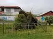 Vecinos de San Pedro denuncian abandono de la escultura de princesa Llacolén