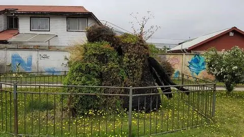 Vecinos de San Pedro denuncian abandono de la escultura de princesa Llacolén