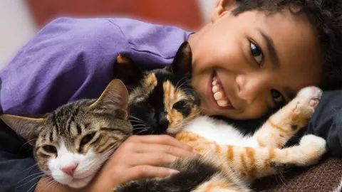 La nueva propuesta sobre tenencia responsable limita número de mascotas por vivienda
