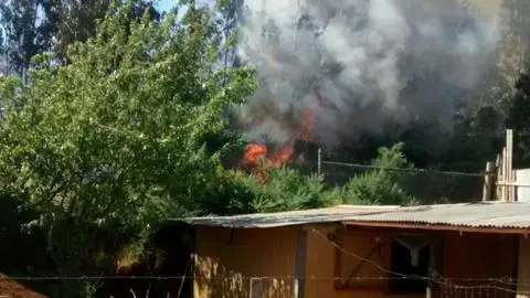 Incendio Forestal pone en peligro a viviendas en Los Álamos