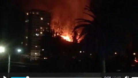 Incendio arrasó una hectárea del Cerro Caracol de Concepción