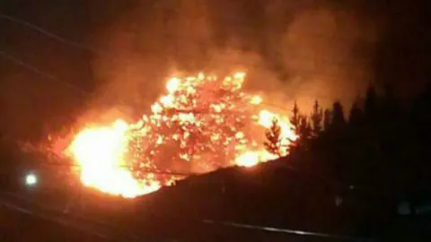 Viviendas se ven amenazadas por un incendio forestal nocturno en Curanilahue