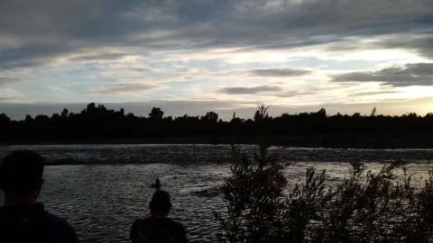 Encuentran sin vida a joven haitiano que se ahogó nadando en el río Biobío