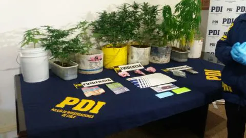 Incautan extraña droga traída a Concepción desde Canadá